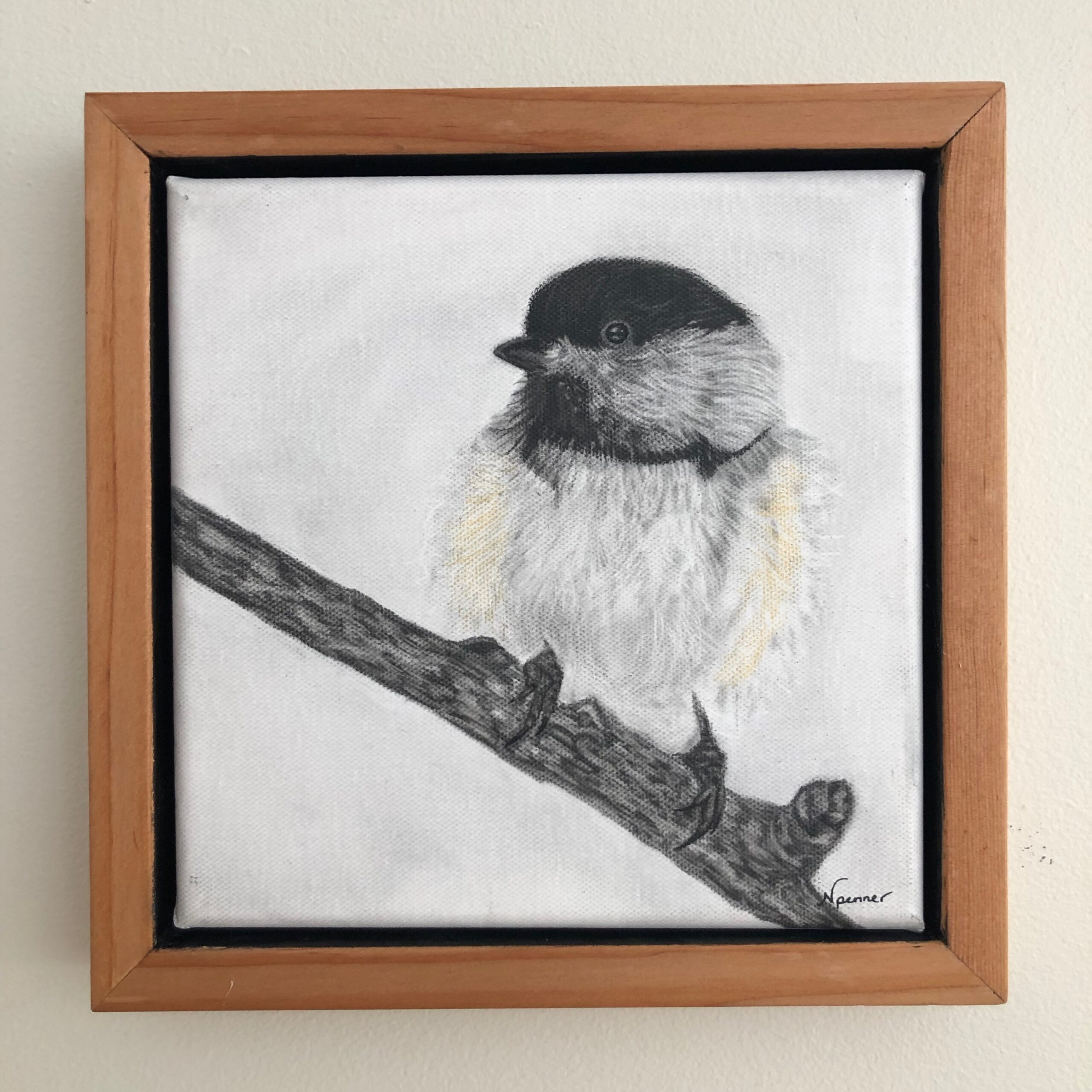 chickadee
