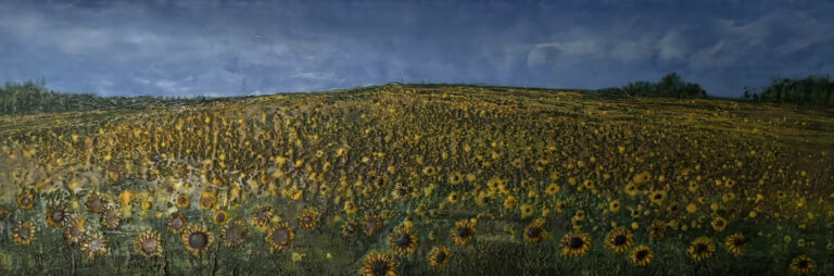 nancy penner summer splendour
